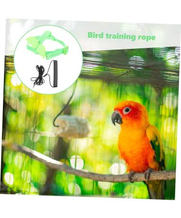 Beavorty 2 Sets Bird Leash Lizard Leash Pet Bird Harness and Leash Chicken Harness for Birds Parrot Bird 12X6X1.3CMx2pcs Greenx2pcs - Buy Online on GoSupps.com