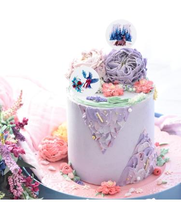 Nwsrayu 18 pcs Christmas Day Cupcake Toppers Winter Animals Acrylic Mirror Disc Xmas cupcake picks Deer New year Party Cupcake Cake Decorations Supplies Sliver and Gold Christmas Mix 18 - Buy Online on GoSupps.com