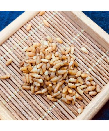 Semen Platycladi Platycladus Orientalis Platycladi Seed the Semen Boitae the Seed of Oriental Arborvitae baiziren Bozi papyriferus Cypress Seeds and Nuts cedar Seed (500 g(1.10 Pound)) - Buy Online on GoSupps.com