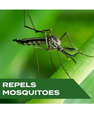 Buy Stem Mosquito Repellent Wipes - Botanical Extracts 10 Fresh Wipes for Effective Mosquito Protection | International Shipping - Buy Online on GoSupps.com