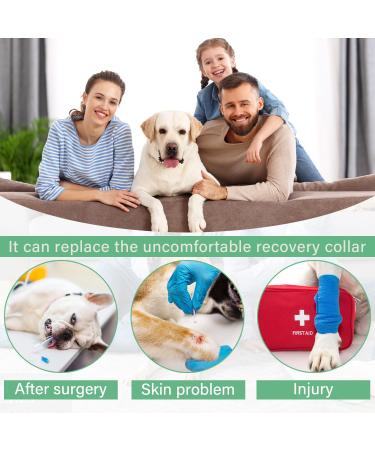 Etdane One-Divider for Dogs | Surgical Recovery Suit for Pets | Anti-Hair Loss | Long-Sleeved & Legged | Orange Size M | International Shipping - Buy Online on GoSupps.com