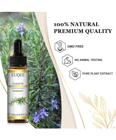 EUQEE Rosemary Oil 10ml Pure Rosemary Essential Oils Natural Aromatherapy Essential Oil Essential Oils for Diffusers Relax Humidifiers Rosemary 10 ml (Pack of 1) - Buy Online on GoSupps.com