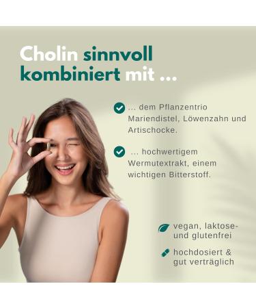 Solvisan Liver Vital - 3-Fold Complex with Choline Milk Thistle (80% Silymarin) Artichokes & Dandelion - 120 Capsules for Optimal Liver Health - Buy Online on GoSupps.com