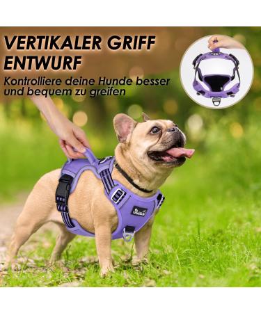 Buy Eyin Adjustable Dog Harness for Medium Dogs - Breathable Reflective Padded with Handle Perfect for Daily Training (Purple M) - Buy Online on GoSupps.com