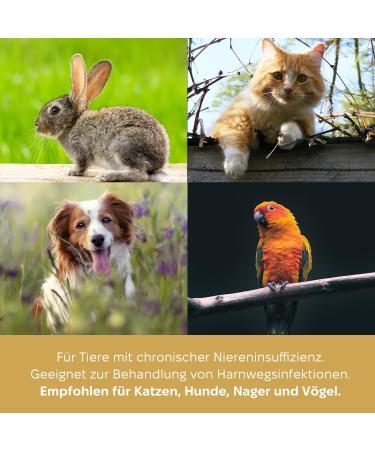 Marsavet Renal Strength Drops - Food Supplement Promoting Renal Function - 100 ML. Natural Support for Renal and Urinary Function in Dogs Cats Rodents and Birds. - Buy Online on GoSupps.com