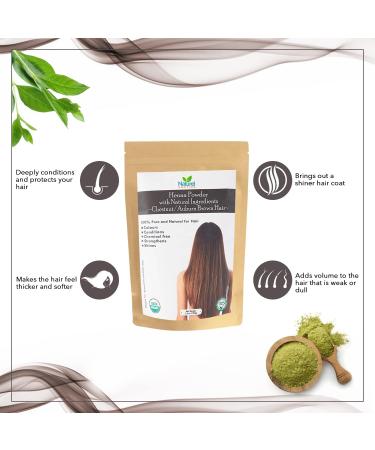 Naturel Anytime Henna Chestnut with Hibiscus 100g USDA Organic - Pack of 1 - Buy Online on GoSupps.com