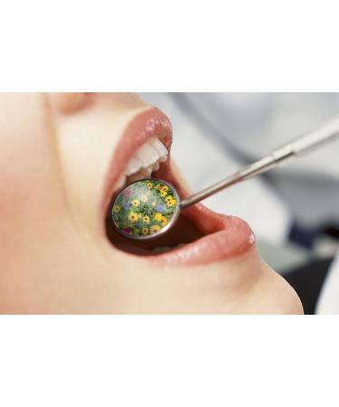 Buy Dental Care Lollipops for Healthy Teeth | 30 Pieces with Lactoferrin & Probiotics | Fight Cavities & Promote Oral Flora - Buy Online on GoSupps.com