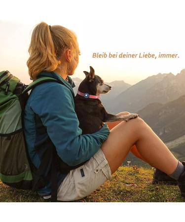 Waterproof Silicone Airtag Holder for Dog/Cat Collar - Transparent Flower 2021 Accessories - Buy Online on GoSupps.com