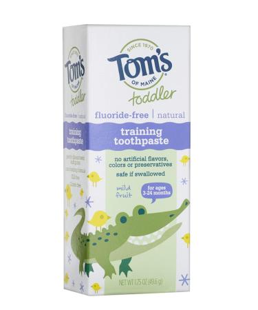 Tom's of Maine Fluoride-Free Toddler Training Toothpaste  Mild Fruit  1.75 oz. - Buy Online on GoSupps.com
