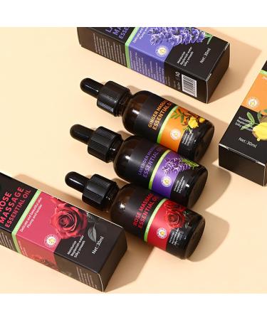 Aislor Botanical Essential Oils for Massage Spa Home Diffuser-lavender Rose And Ginger (30ml Each) for Skin And Body Care. Rose One Size One Size Rose - Buy Online on GoSupps.com