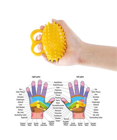 Hand Therapy Ball Finger Ball Exerciser Grip Ball & Hand Strengthener Trainer Balls for Arthritis Finger Physical Training Tool Elderly Hand Ball Strength Squeeze Flexible - Buy Online on GoSupps.com
