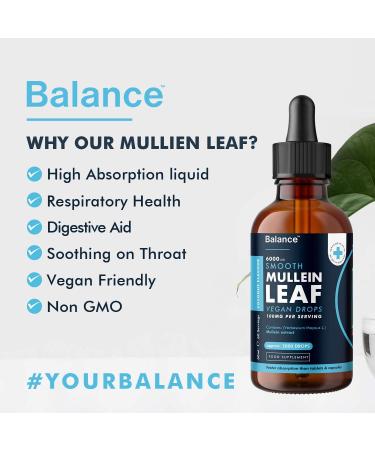 Balance Mullein Leaf Liquid Drops - 120ml for 4 Month Supply - High Strength - Vegan - 120 Servings - Premium Mullein Leaf Extract - 6 000mg per Bottle - Sublingual for Fast Absorption - Made in UK 60 ml (Pack of 2) - Buy Online on GoSupps.com