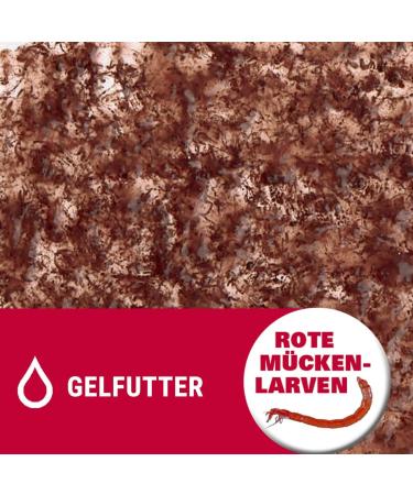 Tetra Freshdelica Bloodworms - Natural Snack for Decorative Fish | 16 x 3g Pack of Red Mosquito Larvae in Jelly - Buy Online on GoSupps.com