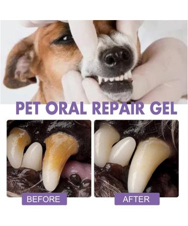 6 Pet Oral Repair Gel - Dog Breath Eliminator Gel - Pet Oral Repair Without Brushing - Natural Pet Teeth Care Solution for Cat Dog 6pcs - Buy Online on GoSupps.com