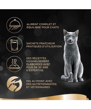 Sheba Mini Nets Adult Cat Food - Poultry in Gravy 85g (Pack of 72) - International Shipping Available - Buy Online on GoSupps.com