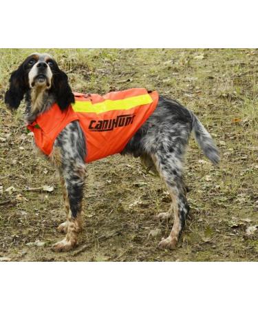 Canihunt Vest Flash V2 (S) - Premium Dog Training Gear | International Shipping Available - Buy Online on GoSupps.com