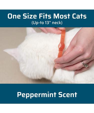 Wondercide Flea and Tick Cat Collar - Natural Essential Oils Repellent - 4 Months Protection - Buy Online on GoSupps.com