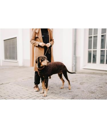 Shop Hunter Dog Sweater - Brown - Perfect Fit for Your Pup (Size 60) | International Shipping Available - Buy Online on GoSupps.com