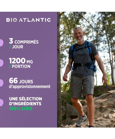 Circulation Bio - 400 mg - Red Vine Witch Hazel Burdock Acerola - 200 Tablets - Buy Online on GoSupps.com