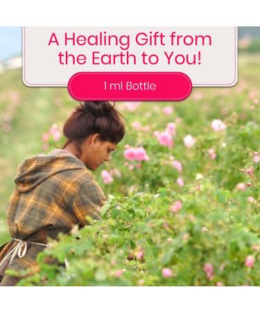 Premium Rose Essential Oil for Skin | Rose Valley Land - Ideal for Perfume & Soap Making 1 mL Bottle - Buy Online on GoSupps.com
