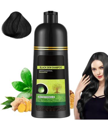 Black Hair Dye Plant Natural 500ml Hair Dye Shampoo White Foam Non-Irritating Hair Care Black Hair Shampoo for Women - Buy Online on GoSupps.com