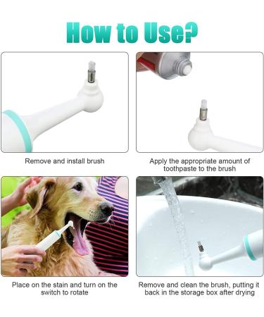 Dog Electric Tooth Polisher Pet Dental Calculus Plaque Remover Tool Electric Kit with 4 Brush Head 5 Cleaning Tools Household Dental Tartar Calculus Remover for Pet Puppy Cat(Size:Green) - Buy Online on GoSupps.com