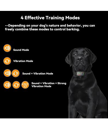 Beoankit Anti Bark Collar for Dogs - Dual Vibration, 5 Sensitivity Levels, 3 Modes - Grey - Buy Online on GoSupps.com