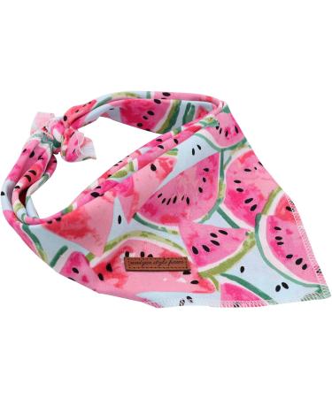 Buy Unique Style Paws Dog Collar - Washable Cotton Neck Triangle for Small Medium & Large Dogs & Cats (1-Pack) - Watermelon Design - Buy Online on GoSupps.com