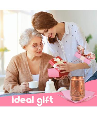 Hummingbird Solar Lantern Lights Outdoor Hanging Metal Decor Lanterns-Waterproof LED Decorative Light for Garden Patio Yard Lawn Backyard Front Porch as Gifts for Mom Grandma Women (2 Hummingb 2 Hummingbirds and 2 Dragonflies 4 - Buy Online on GoSupps.com