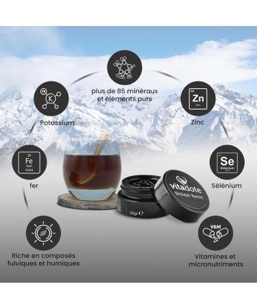 Vitadote Shilajit Resin (20g) - Himalayan and Altai Origin Pure and Authentic Mumijo - Natural Detox Global Vitality and Inner Beauty. - Buy Online on GoSupps.com