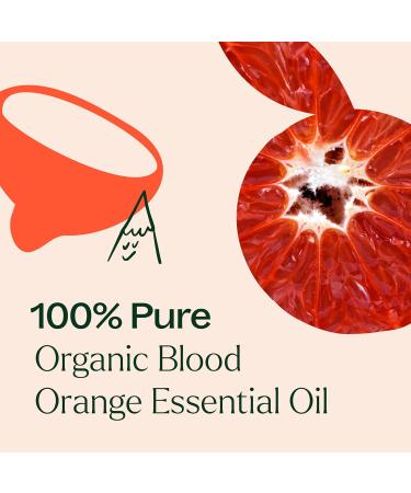 Plant Therapy Blood Orange USDA Organic Essential Oil 10 mL (1/3 oz) 100% Pure Undiluted Therapeutic Grade - Buy Online on GoSupps.com