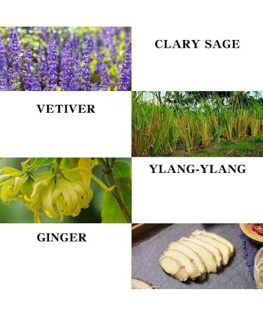 Ginger Massage Oil - Relaxing Muscle & Moisturizing Body Oil for Men & Women | 8.8 oz - Buy Online on GoSupps.com
