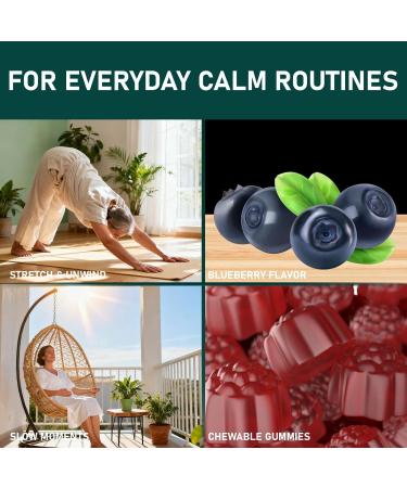 Fruitoday Cortisol Support Gummies for Daily Calm Magnesium Glycinate with Vitamin D3, B6, Potassium, and Calcium Blueberry Flavor, 60 Count - Buy Online on GoSupps.com