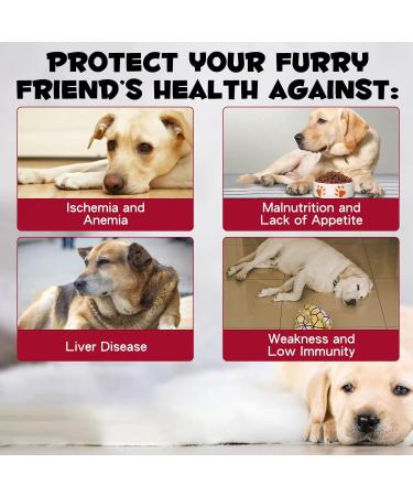 Liquid Iron Supplements for Dogs - with Folate and B12 Supplements Anemia Promotes Blood Health Oxygen Supply and Blood Cell Formation Increase Low Energy Levels Lethargy - 2 oz - Buy Online on GoSupps.com