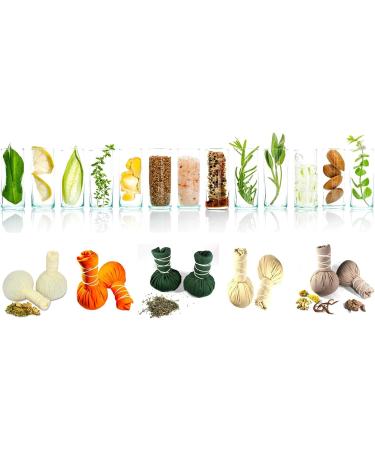 Herbal Stamps - Ginger Lemongrass | 10 x 100g | Boost Immunity & Metabolism - Buy Online on GoSupps.com