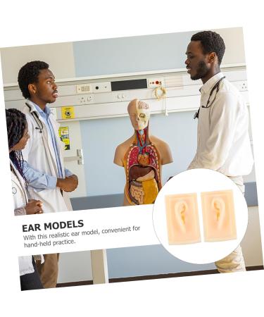 FOMIYES Ear Cleaning Practice Tools - Silicone Ear Model for Acupoint Learning & Hearing Aid Display - 9.5x6.5x4.5CM - Buy Online on GoSupps.com