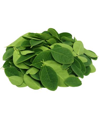  Tazarin LTD 50g Whole Moringa Leaves PREMIUM PLUS - Moringa Infusion Moringa Herbal Tea Moringa Tea - Nutritious - 100% Natural Pure and Additive-Free - Tazarin Ltd - Buy Online on GoSupps.com