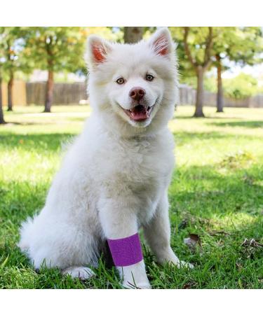 Pack of 12 Vet Wraps - Gauze Rolls - Cohesive Bandage - Bandage Wrap for Animals Assorted Colours 3 inches x 66.9 inches - Buy Online on GoSupps.com