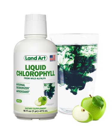 Liquid Chlorophyll Apple Flavored Cold Extracted from Wild Non-GMO Alfalfa - Alkaline - Natural Body Deodorant Antioxidant - 16 fl oz