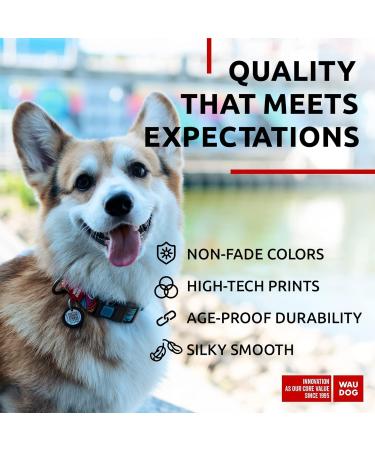 Waudog Nylon Collar for Dogs - Adjustable Durable and Stylish | Ideal for Large Medium and Small Breeds - Summer Collection - 31-49 cm Length 25 mm Width - Buy Online on GoSupps.com