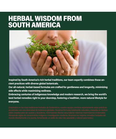 Verdeherb Herbal Capsules Natural Sarsaparilla (Zarzaparrilla) Extract for Detox & Cleanse Immunity Support & Combat Free Radicals. 120Capsules - Buy Online on GoSupps.com