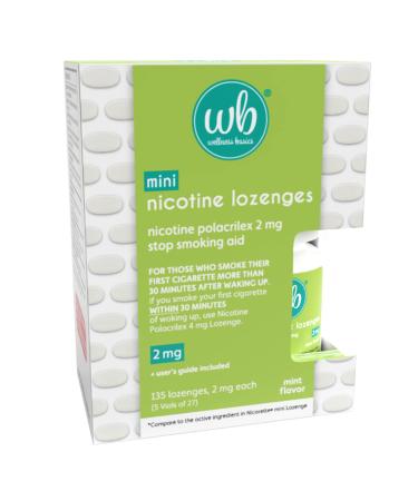 Wellness Basics - Mini Nicotine Lozenge (2mg - 135 Count) Stop Smoking Aid - Reduces Withdrawal Symptoms - Mint Flavor (Pack of 1) - Buy Online on GoSupps.com