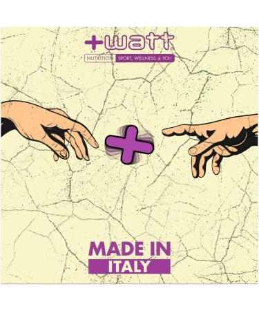 WATT SOY PROTEIN 221 750 g hazelnut - Buy Online on GoSupps.com