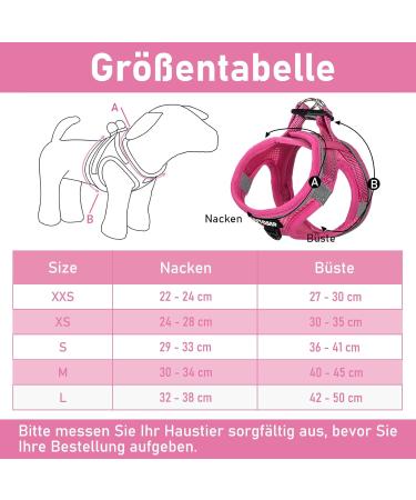 Buy Medium Rose Padded Dog Harness for Small Dogs - Comfortable Puppy Harness for Ultimate Control - Buy Online on GoSupps.com