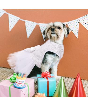 Asenku Dog Dress - Princess Lace Wedding Outfit for Small Medium Dogs & Cats | Elegant Birthday Party Formal Clothing in White - Buy Online on GoSupps.com