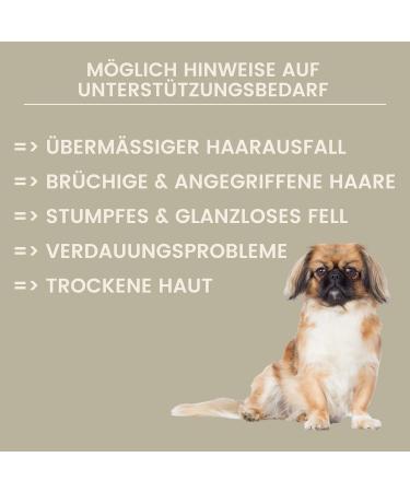 Linseed Oil Barf Oil for Dogs Cats Barf Oil Omega 3 & 6 I Food Oil + Vitamin EI Food Supplement Rich in Omega 3 Omega 6 Fatty Acids without Additives I Coat Skin Energy 0.25l - Buy Online on GoSupps.com