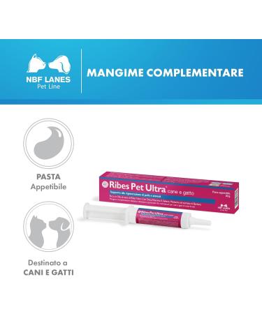 NBF Lanes Ribes Pet Ultra Paste 30g - Buy Online on GoSupps.com