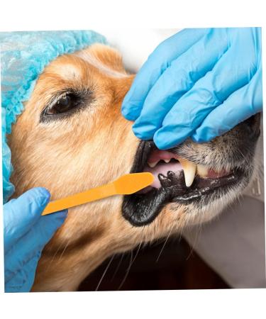 HANABASS 8pcs Double Head Dog Toothbrush Cat Care Pet Toothpaste Pet Oral Health Dual-head Brush Pp 1 count (Pack of 1) As Shown - Buy Online on GoSupps.com