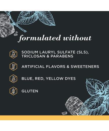 Burt's Bees Toothpaste Natural Flavor Charcoal with Fluoride Toothpaste Mountain Mint 3 x 4.7oz - Buy Online on GoSupps.com