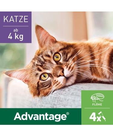 Elanco Advantage Spot-On 80 for Large Cats & Rabbits | Flea Protection for 4-8 kg | 4 Pipettes - Effective & Easy Application - Buy Online on GoSupps.com